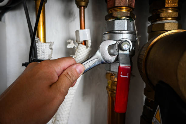 Best Clogged Drain Plumber  in Ledbetter, KY